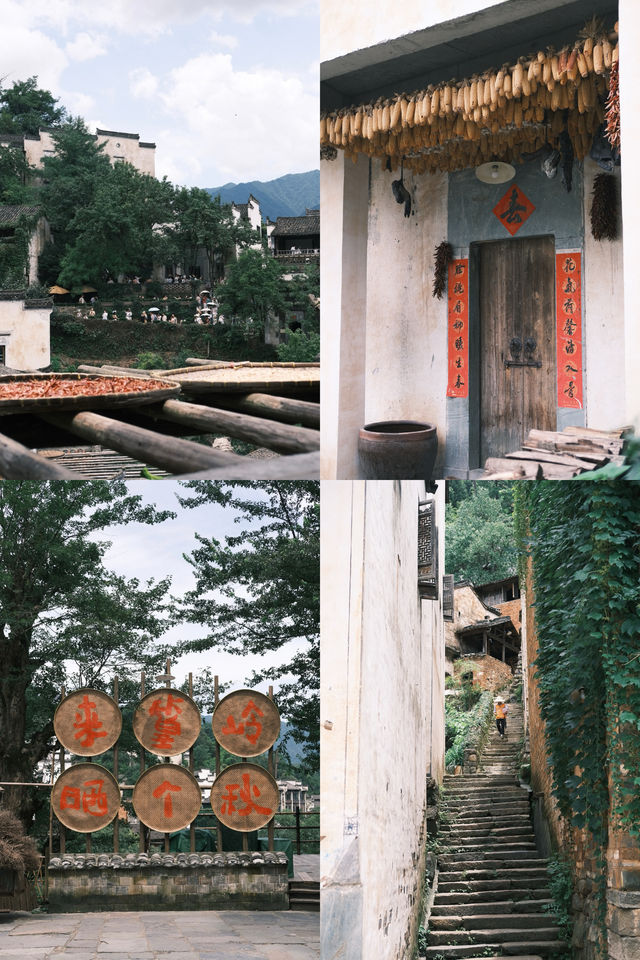 最美鄉村|婺源篁嶺7小時CountryWalk旅遊攻略 最美鄉村|婺源篁嶺7小時CountryWalk旅遊攻略