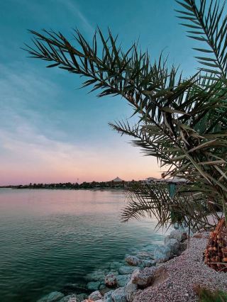 🌟✈️ Unwind in Luxury: Qatar's Coastal Gem 🏖️🌇