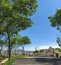 太原動物園遛娃攻略：與動物親密接觸！