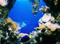 NY Aquarium Wild Life Cincervation Area: Cute and Fashion