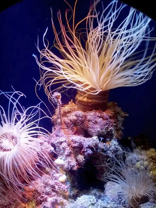 杜拜最棒的親子景點大公開!