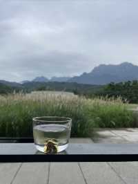 峨眉山又一個地標景點