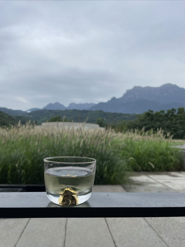 峨眉山又一個地標景點
