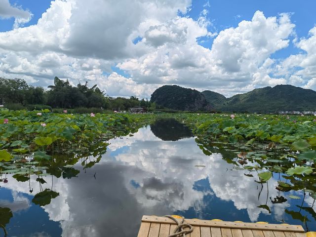 風景真美