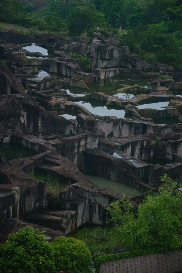 戶外拍照蛇蟠島區離城市的喧囂