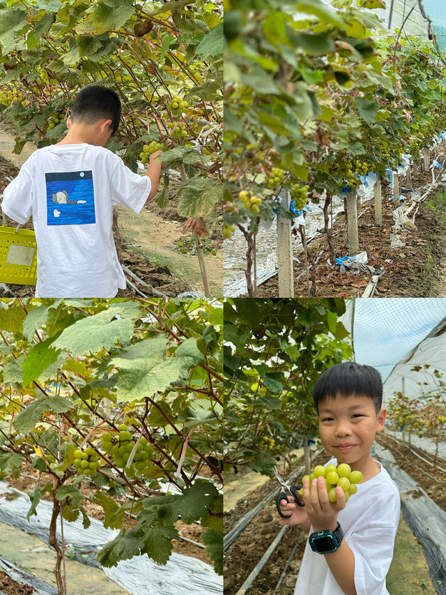 沉醉式帶娃｜Get到了夏天泡溫泉的快樂