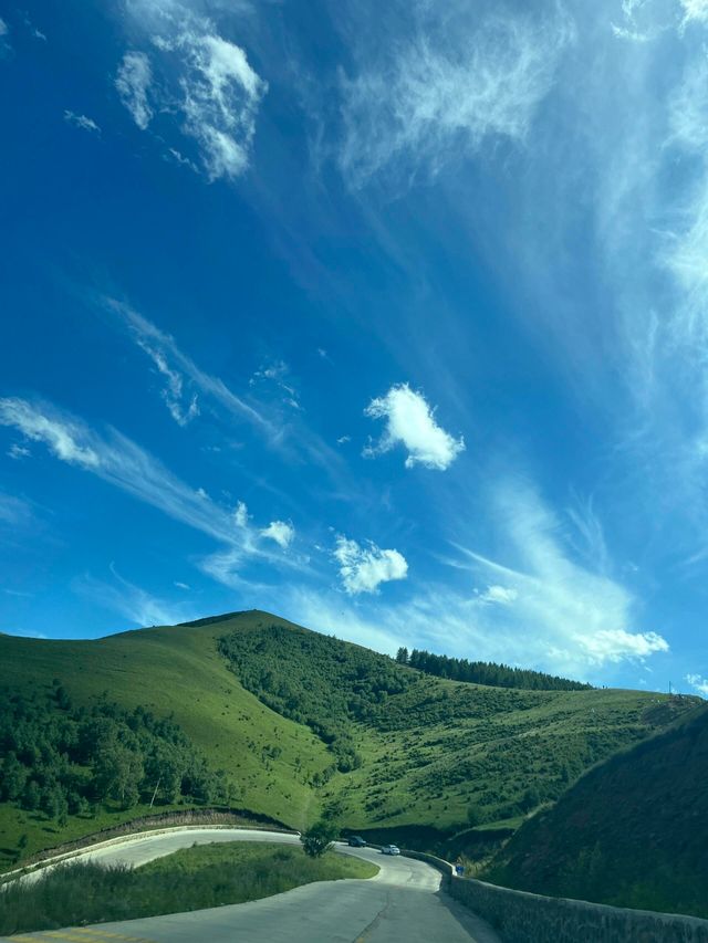 這是內蒙紅石崖是典型的高山牧場