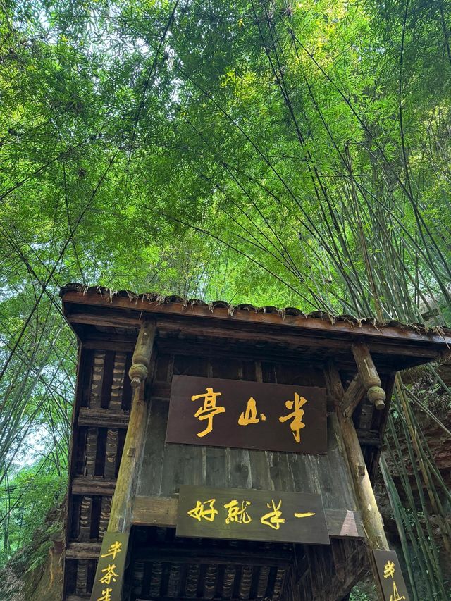 成都周邊川西竹海一日遊攻略