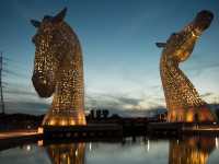 Come See This from ALL Angles and Light!