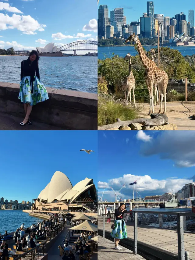 시드니 여행 | 무차족 5일 4박 심층 여행 가이드