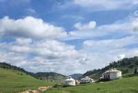 關山草原一日遊，體驗大自然風光。
