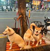 蛇口Citywalk：下輩子要在蛇口當漁民！