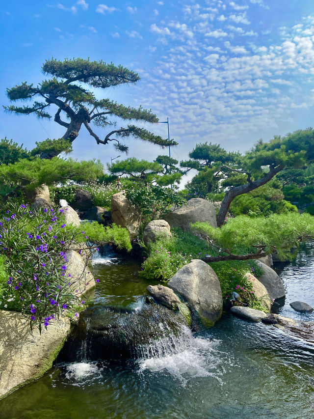 北京竟然有這樣免費的人間仙境。