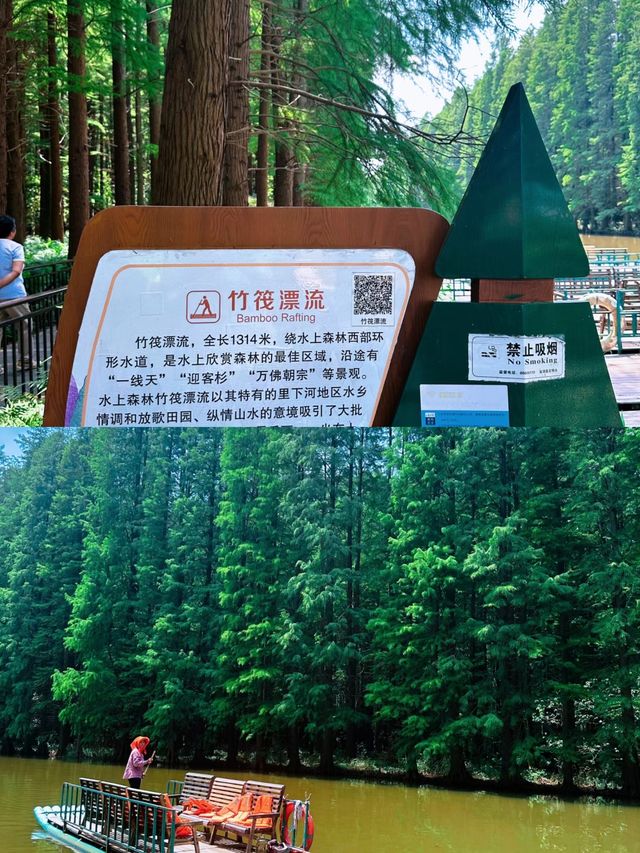 水上森林公園，您沒有來，那可就虧大了。