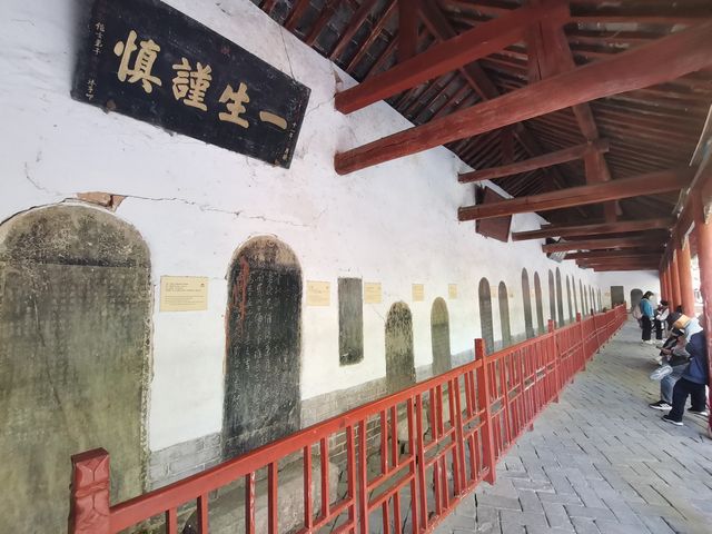 南陽風光。