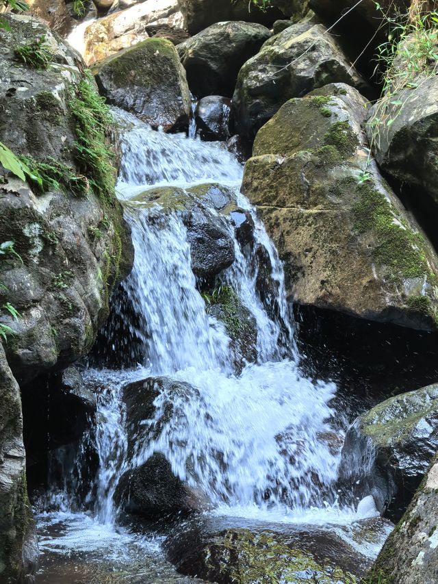 河源野趣溝。