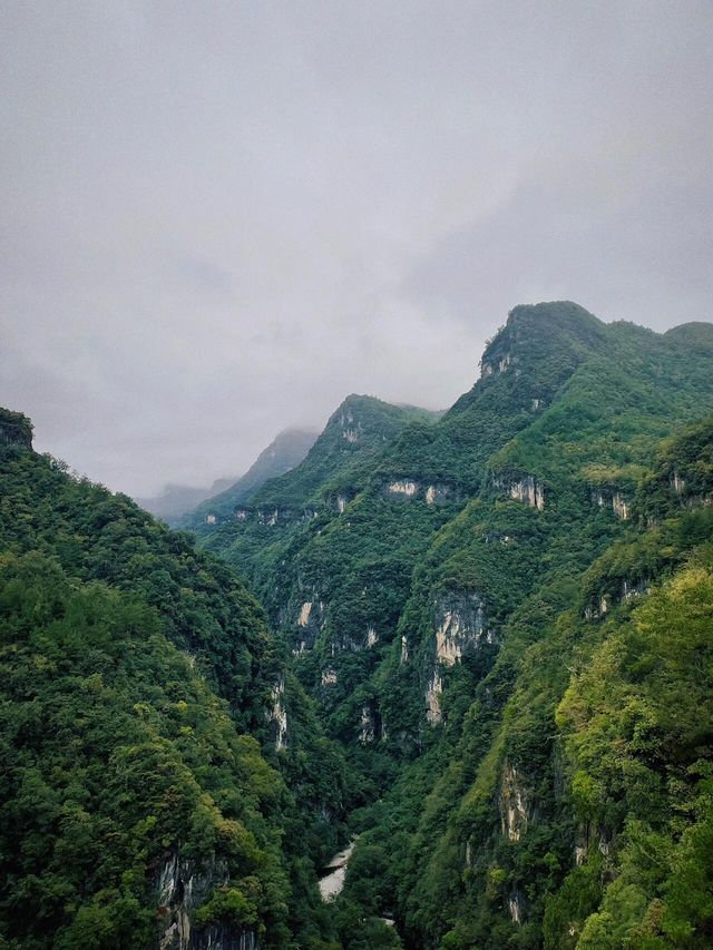襄陽九路寨｜綠野仙蹤般的大自然寶藏之地。