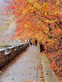 大石湖景區。