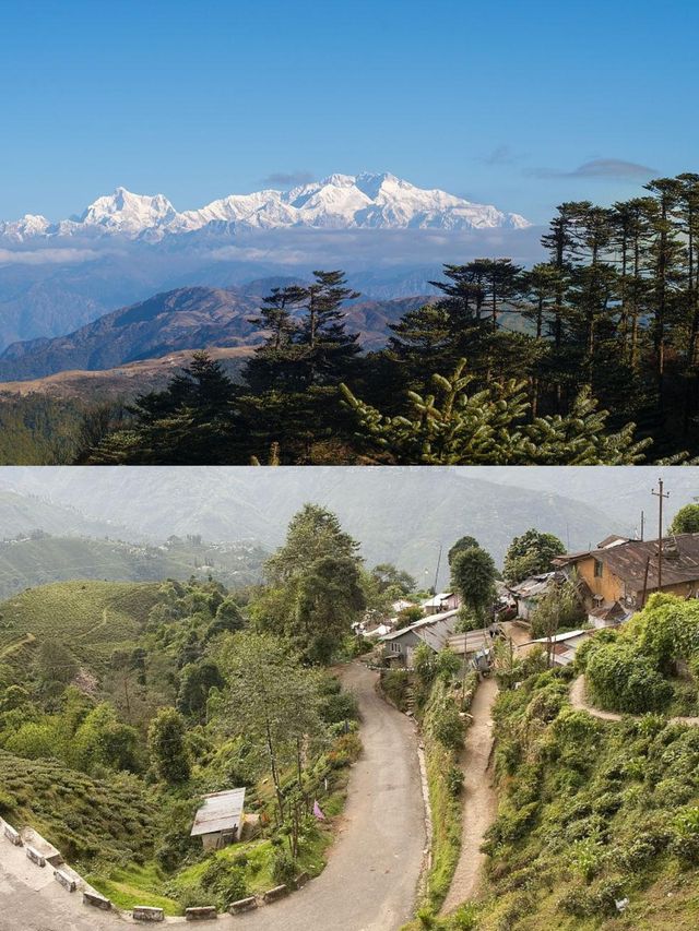 【大吉嶺兩日遊，茶香四溢的奇幻之旅】。
