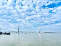 南京魚嘴濕地公園｜河西新城小墾丁。