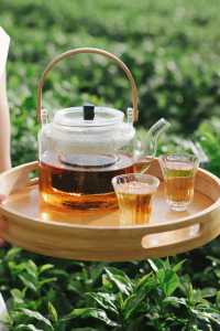 郴州｜民宿茶飲新體驗，人均不到一百衝。