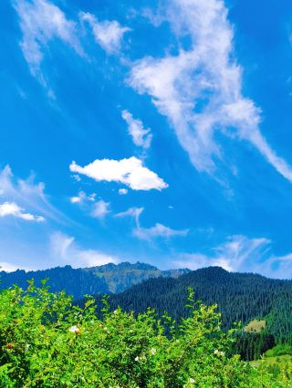 Explore Tianchi Lake: A stunning alpine lake in Xinjiang.