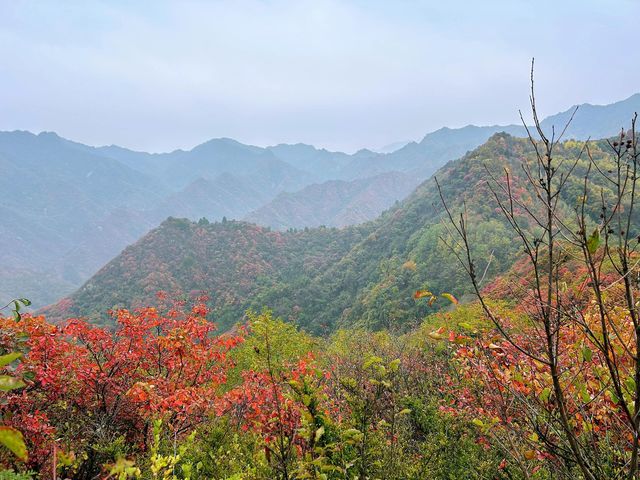 長安子午峪|免費爬山好去處。
