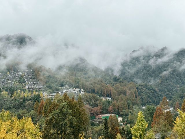 青城山內的寶藏民宿。