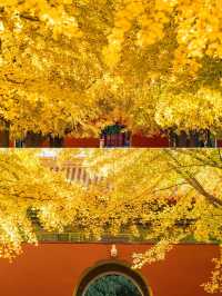北京｜這條 city walk 路線還想再去 1 萬次。