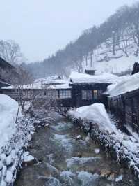 Experience the Hidden Mixed-Gender Hot Springs in Japan