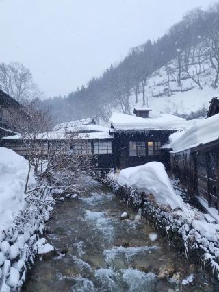 일본의 숨겨진 혼탕 온천을 경험해보세요.