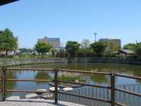 探訪鳥栖的綠色心臟——鳥栖中央公園。