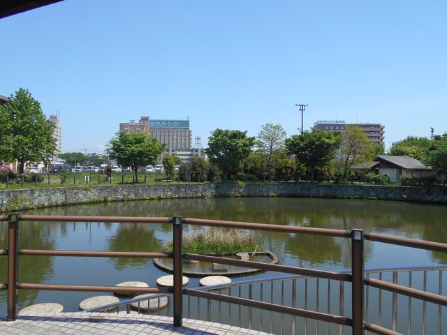 探訪鳥栖的綠色心臟——鳥栖中央公園。