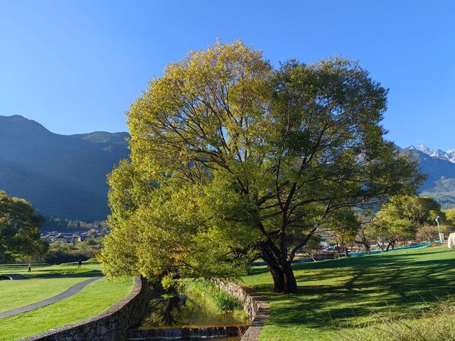 麗江地中海度假村。