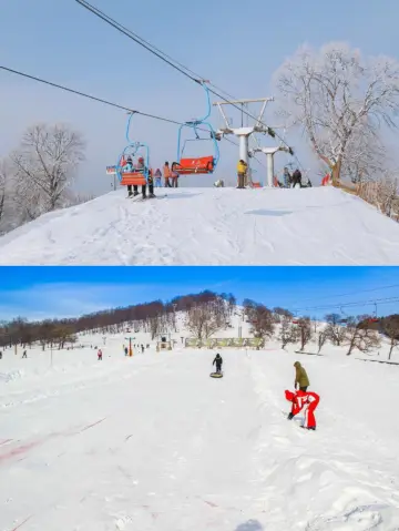 야부리 스키 리조트는 SSSSS급입니다.