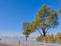 青山江灘半馬已準備就緒，等你來跑！。