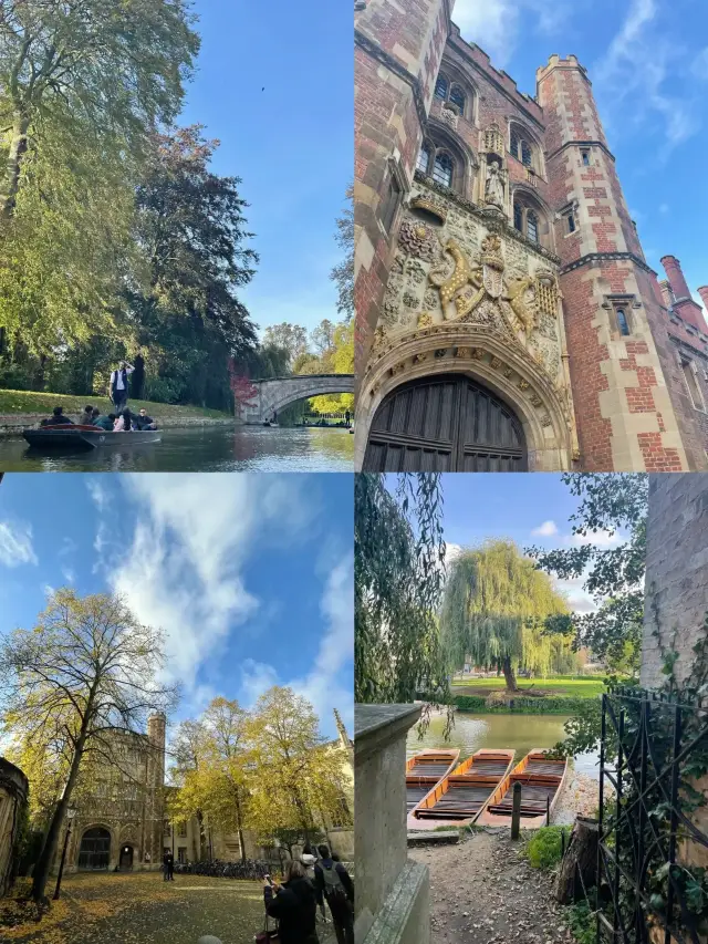 "Cambridge Glimpses: A Two-Day Academic and Artistic Journey" 