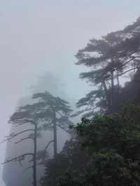 江西三清山｜三清盛景，峰奇雲繞韻無窮