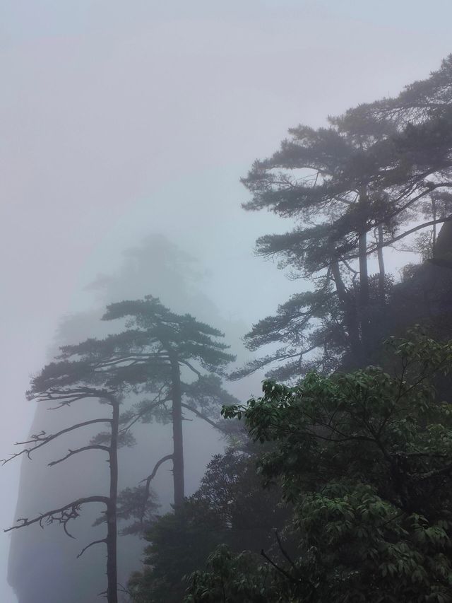 江西三清山｜三清盛景，峰奇雲繞韻無窮