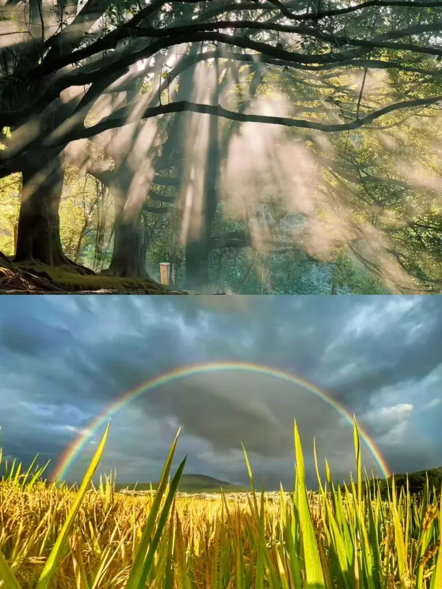 Group Building | Jingwei Suqi Hot Spring Resort Inn