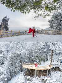 在光霧山拍攝的紅色戰國袍與雪景簡直絕配！
