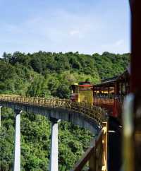 深圳｜通往森林的小火車可以坐一整天