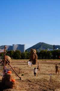湖州乘船而入的公園 還有稻草人展