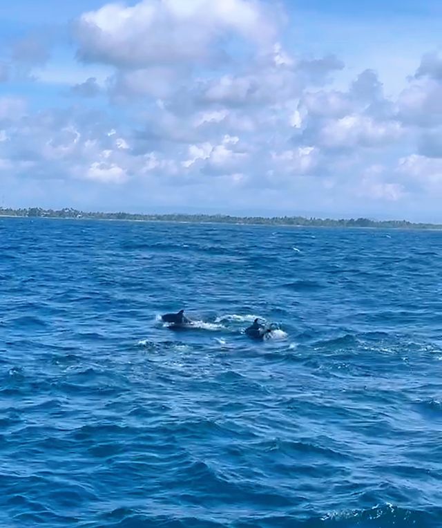 Sri Lanka Whale Watching Adventure