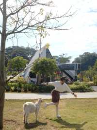 中山旅遊療癒之旅｜營地放空，治癒內耗的自己