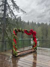 Experience the Thrill of Capilano Suspension Bridge Park