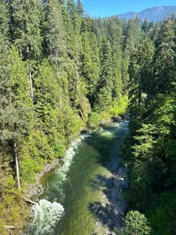 Explore Capilano Suspension Bridge Park in Vancouver