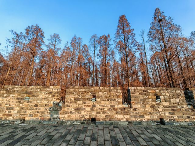 古老明城醉碧空