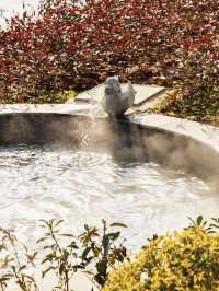 唯美動物園／大馬戲／溫泉 保姆攻略合集