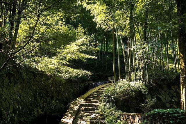 下一屆的東亞文化之都為什麼是湖州（上）